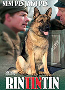 rintintin1